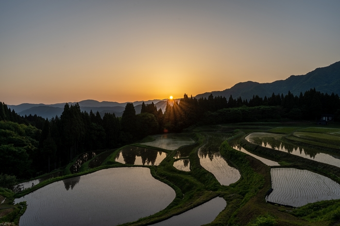 うへ山の棚田