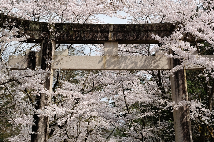 出石神社