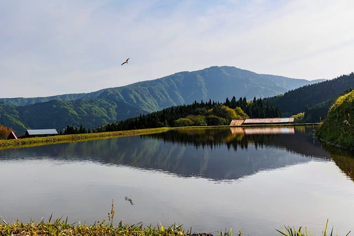 別宮の棚田