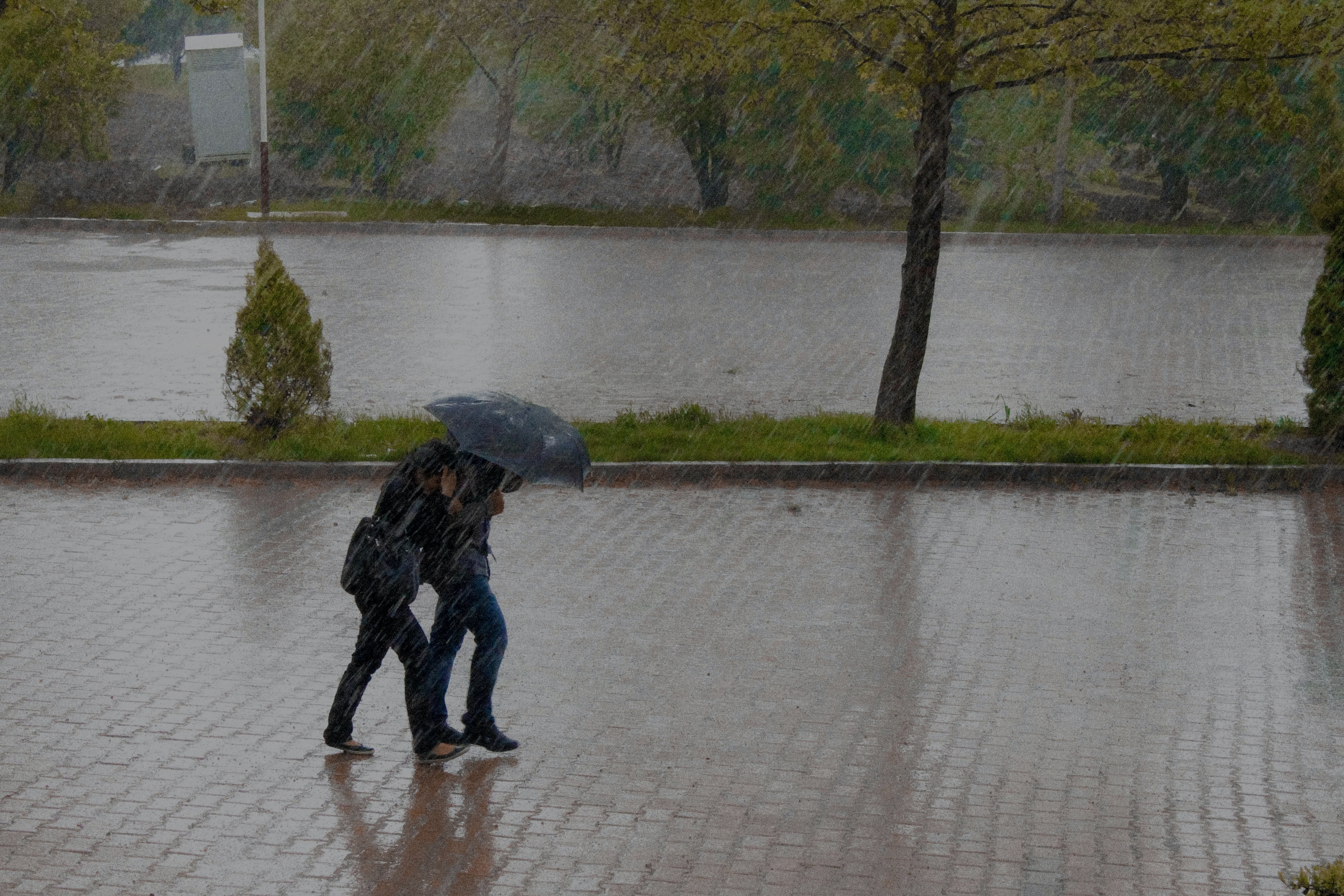 header4